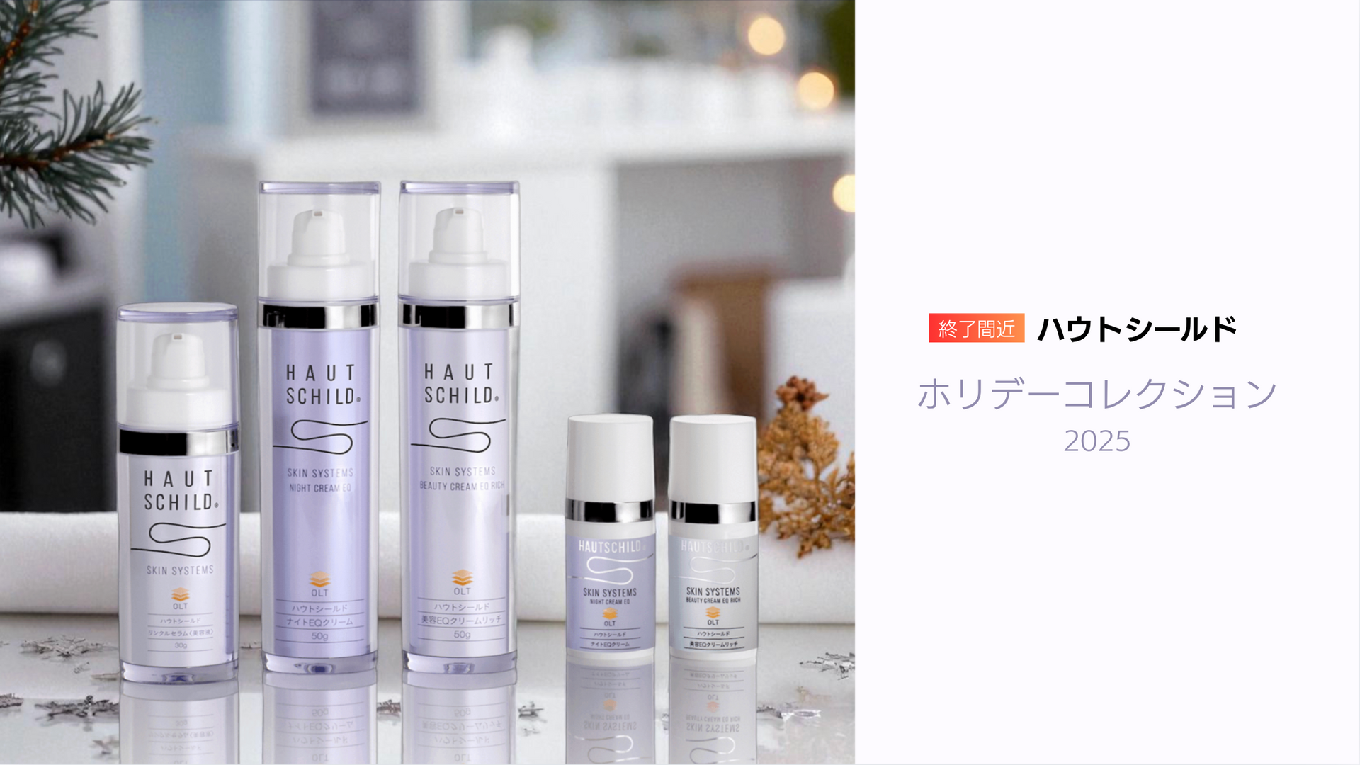 HAUT SCHILD ハウトシールド スキンシステム セット HAUTSCHILD（ハウトシールド）レチノール×ナイアシンアミドを高濃配合