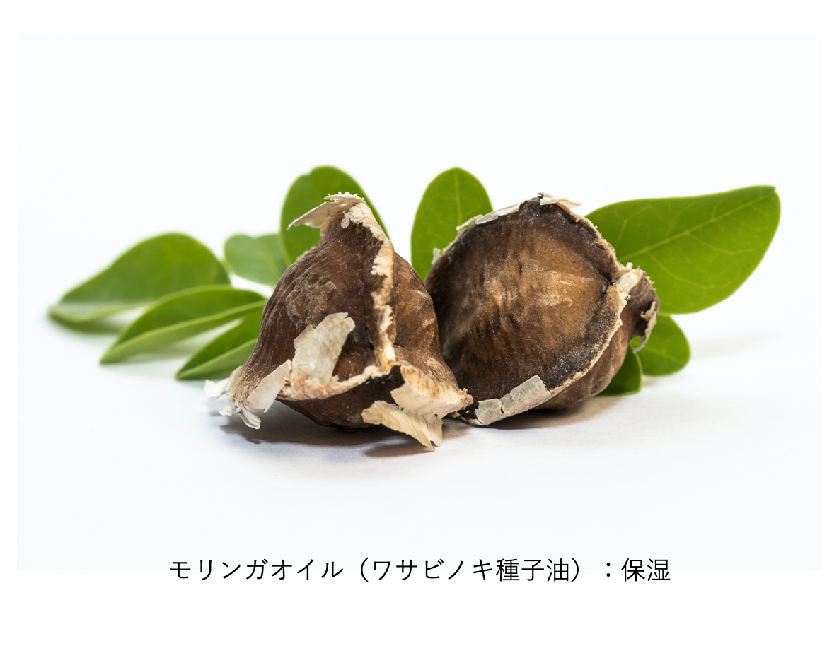 ハウトシールド 夜用美容クリーム ナイトEQクリーム(50g) レチノール配合 ハウトシールド 夜用美容クリーム ナイトEQクリーム(50g) レチノール配合